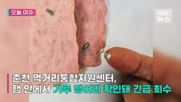 돼지 지혈제 나온 급식햄 제조업체 B사는 농협목우촌
