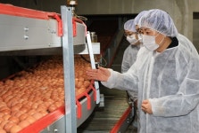 송미령 장관 계란 수급안정 고려한 사육시설 규제 개선 검토