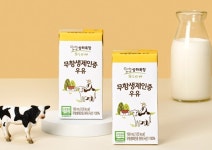[신상품] 롯데웰푸드 쉐푸드 소빠닭, 매일유업 무항생제인증 우유 멸균 190mL 외