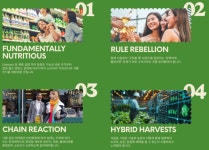 2025 식음료 트렌드…혈당ㆍ호르몬 건강에 관심 쑥