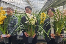 농진청, 난과 식물 심비디움 농가와 품종ㆍ기술 검증…화훼산업에 활력