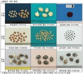 농진청, 한국 토종 종자 4000자원 스발바르 최후의 날 저장고에  추가 기탁
