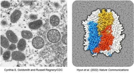 부산대 양산캠퍼스에 ‘초저온 전자현미경(Cryo-EM)  분석센터’ 개소