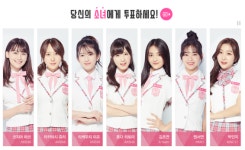 프로듀스48 제작진이 AKB48 우익 논란을 바라보는 시선은?