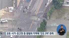 오사카 지진 발생 지역 차량 블랙박스에 트램펄린 같은 모습 포착