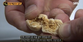 생활의 달인 강릉 메밀국수, 귀한 암칡 특징 어떻길래