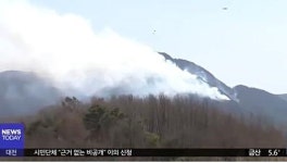 대전 대정동 산불, 여지없이 번지는 불길...대형화 가능성 있나?