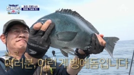 오도열도, 여름 휴가철 관광지로 각광받아…"섬에서 즐기는 바다낚시 어때요"