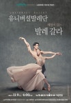 ‘백조의 호수’ ‘돈키호테’...해설과 함께 즐기는 클래식 발레 대표작