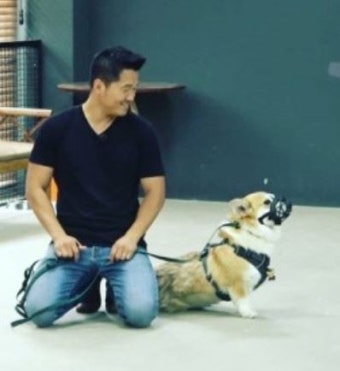 개물림 사고 할머니 끝내 사망, 강형욱 