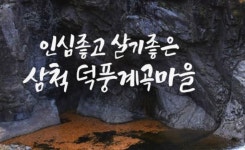 덕풍계곡, 비밀의 장소 오픈에 홍보 박차…최애 휴가지 꼽은 이유 보니