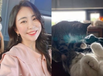 '의찬이' 김성민 화촉에 정배·미달이 근황 향한 궁금증