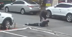 전직 야구선수 폭행 누구?…포수·투수 포지션 추측 난무 "덩치 크다"