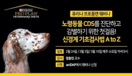 네슬레 퓨리나, 수의사·수의대생 대상 노령동물 진단 온라인 강의