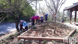 담양군 대전면, 주민들과 함께하는 꽃동산 조성