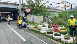 나주시 영산동, 홍어의 거리 등 여름 꽃 5000본 식재