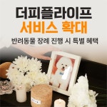 더피플라이프, 반려동물 장례 서비스 강화… 고객 전용 혜택 확대