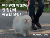 대교 하울팟, ‘반려견과 함께하는 한달간의 특별한 챌린지’ 진행