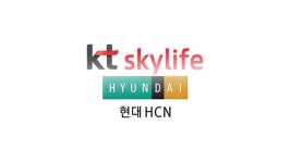 KT스카이라이프, 케이블 방송업체 현대HCN 인수 가속화...과기부, 관련 요청 승인