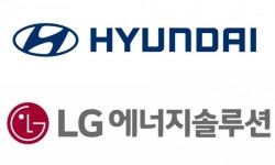 인도네시아 설득 성공했나 현대차·LG엔솔, 현지 합작 배터리공장 설립 추진