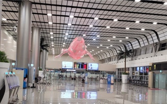 공항 안전 살핀다, 국토부 15개 공항 안전 사각지대 집중 점검