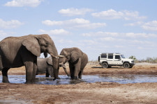 아프리카 대자연을 야생으로 즐긴다, 차봇모터스, 이네오스 익스페디션 투어 프로그램 출시