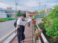 김제시 요촌동 주민자치회 꽃길조성 사업 확대 