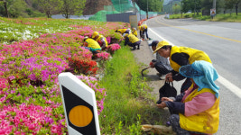 완주 경천면 노인일자리사업으로 화단 꽃단장
