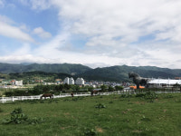 이랴~ 푸른 초원 달리는 힐링 여행