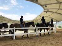 이랴~ 푸른 초원 달리는 힐링 여행