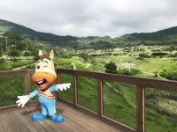 이랴~ 푸른 초원 달리는 힐링 여행