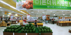 농협 하나로유통 수박 소비촉진 전국 할인행사