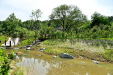 역사와 자연이 있는 고창읍성 만든다