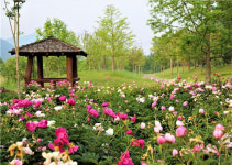 진안 용담호 자연생태습지원 인기