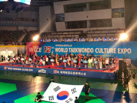 전북지역 외국인 유학생들, 태권도문화엑스포서 뜻깊은 체험