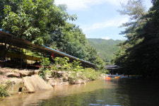 숲 사이로 흐르는 계곡에 풍덩