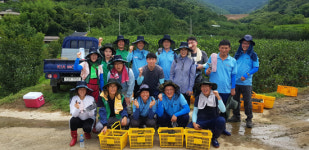 대상(주)순창공장 농촌일손돕기 봉사활동 실시