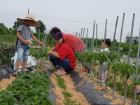 익산 주말가족농장··· 힐링 자연체험학습장으로 각광