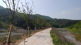 살구향이 가득한 광산마을 농산촌가꾸기사업 선정