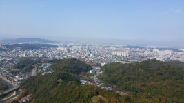 파랗게 물든 전주시내