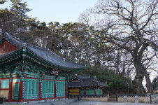 새만금의 바람이 걷는 이를 맞이하는길