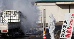 구제역에 AI 방역망 뚫릴라 철통방어