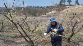열악한 농촌 현실 답답 타개책 필요해요