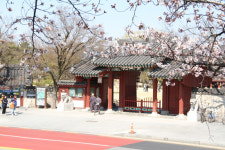광한루 600년과 함께 봄 나들이 같이해요