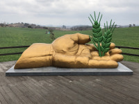 살랑살랑 청보리 들녘 봄내음 물씬~