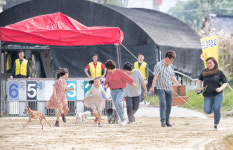 오수 의견문화제 반려동물 대표 축제 발돋움