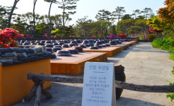 자연이 빚은 4천개 항아리 정원 고스락