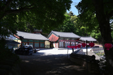 이른 더위 식혀주는 조선시대 관아 숲 산책