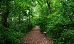 조용한 숲-계곡 다 갖춘 여름 장안산