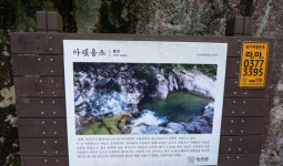 조용한 숲-계곡 다 갖춘 여름 장안산